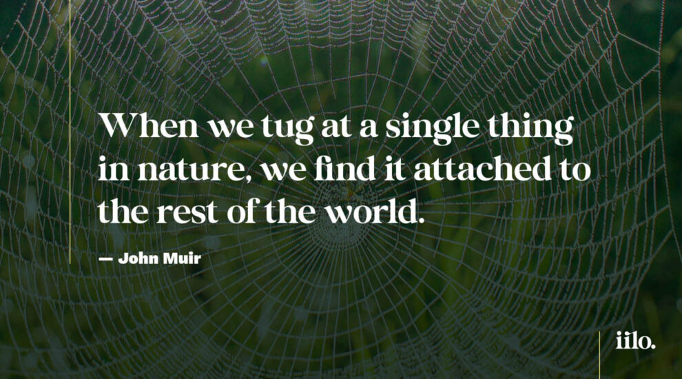 Quote from John Muir: "When we tug at a single thing in nature, we find it attached to the rest of the world."
