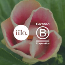 Unfolding flower with iilo logo and B Corp logo